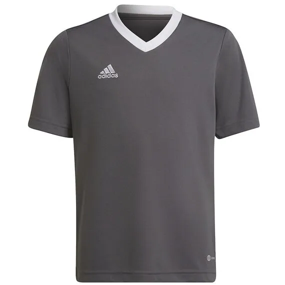 adidas Koszulka młodzieżowa ENTRADA 22 JSY Y H57499 szara, Kolor: szary, Rozmiar: 140 cm