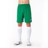 JOMA NOBEL 100053.200 spodenki męskie krótkie sportowe treningowe białe, Kolor: zielony, Rozmiar: 2XL-3XL