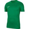 NIKE Koszulka dla dzieci Dry Park VII JSY SS BV6741 302 zielona, Kolor: zielony, Rozmiar: S