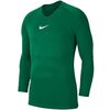 NIKE koszulka termoaktywna męska Dry Park First Layer JSY LS AV2609 302 zielona, Kolor: zielony, Rozmiar: S