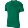 NIKE koszulka męska do ćwiczeń Park 20 CZ0881 302 zielona, Kolor: zielony, Rozmiar: S