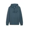 PUMA bluza męska z kapturem bawełniana ESS Big Logo Hoodie szara, Kolor: szary, Waga: 0.4, Rozmiar: L