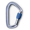 Black Diamond Zakręcany Karabinek Hotforge Screw Gate Cara Gray