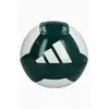 ADIDAS piłka nożna treningowa IX3983 biała/zielona