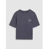 4F koszulka bawełniana t-shirt dla dziewczynki 4FJWSS25TTSHF1853 szary, Kolor: szary, Rozmiar: 158