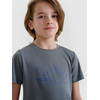 4F koszulka sportowa t-shirt 4FJWSS25TFTSM1212 szara