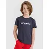 4F koszulka sportowa t-shirt dziecięcy 4FJWSS25TFTSM1209 szara, Kolor: szary, Rozmiar: 158/164