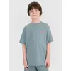 4F t-shirt bawełniany koszulka chłopięca 4FJWSS25TTSHM1914 zielona, Kolor: zielony, Rozmiar: 152