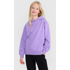 4F bluza bawełniana dziecięca z kapturem 4FJWSS25TSWSF1854 fioletowa, Kolor: fioletowy, Rozmiar: 158