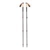 Kije trekkingowe Black Diamond Trail Cork Trekking Poles - fig
