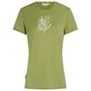 Icebreaker koszulka damska Merino 150 Tech Lite Fresh Fern zielona, Rozmiar: M