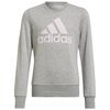 adidas Bluza młodzieżowa Big Logo SWT HM8706 szara, Kolor: szary, Rozmiar: 140 cm