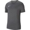 Nike Koszulka Dry Park 20 TEE CW6952 071 szara, Kolor: szary, Rozmiar: XL