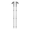 Black Diamond Kije trekkingowe Trail Trekking Poles - pine smoke