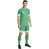 Nike Koszulka Polo Polo Academy 25 FZ9759-012 zielona, Kolor: zielony, Rozmiar: S