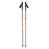 Kije trekkingowe Black Diamond Trail Back Trekking Poles - Burnt Siena