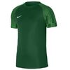 Nike Koszulka Dri-Fit Academy DH8031 302 zielony