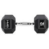 HMS HEX Pro 12 Kg Hantla