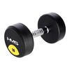 HMS HG Pro 10 Kg Hantla Gumowana