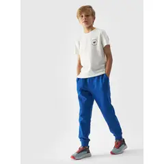 4F Koszulka dziecięca t-shirt chłopięcy na W-F bawełniany M1859 biały, Kolor: biały, Rozmiar: 164, 5 zdjęcie