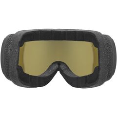 UVEX gogle narciarskie technologia supervison Downhill 2100 CV szare/czarne, Kolor: szary, Rozmiar: one size, 3 zdjęcie