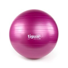 TIGUAR piłka gimnastyczna do ćwiczeń fitness 65cm śliwka