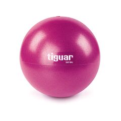 TIGUAR piłka gimnastyczna Easyball do ćwiczeń fitness 25cm śliwka