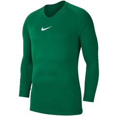 NIKE koszulka termoaktywna męska Dry Park First Layer JSY LS AV2609 302 zielona, Kolor: zielony, Rozmiar: S