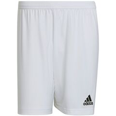 ADIDAS spodenki krótkie męskie sportowe Aereoready HG6295 białe, Kolor: biały, Waga: 0.2, Rozmiar: L