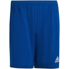 ADIDAS spodenki krótkie męskie sportowe Aereoready HG6294 niebieskie, Kolor: niebieski, Waga: 0.2, Rozmiar: M