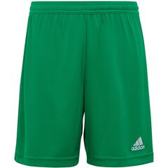 ADIDAS spodenki chłopięce sportowe krótkie IC7410 zielone, Kolor: zielony, Waga: 0.2, Rozmiar: 140