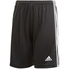 ADIDAS spodenki sportowe chłopięce na trening Squadra GN5767 czarne, Kolor: czarny, Waga: 0.2, Rozmiar: 140
