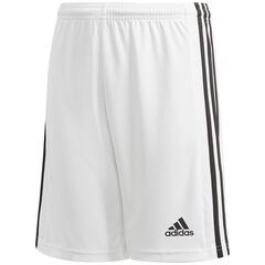 ADIDAS spodenki sportowe chłopięce na trening Squadra GN5766 białe, Kolor: biały, Waga: 0.2, Rozmiar: 128