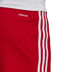 ADIDAS spodenki treningowe męskie krótkie sportowe Squadra GN5771 czerwone, Kolor: czerwony, Waga: 0.2, Rozmiar: XL, 6 zdjęcie