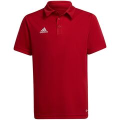 ADIDAS koszulka polo chłopięca bawełniana H57495 czerwona, Kolor: czerwony, Waga: 0.2, Rozmiar: 152