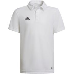 ADIDAS koszulka polo chłopięca HC5059 biała, Kolor: biały, Waga: 0.2, Rozmiar: 140