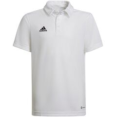 ADIDAS koszulka polo chłopięca HC5059 biała, Kolor: biały, Waga: 0.2, Rozmiar: 164