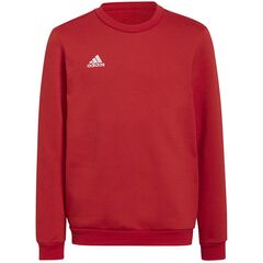 ADIDAS bluza chłopięca treningowa bawełniana H57473 czerwona, Kolor: czerwony, Waga: 0.2, Rozmiar: 140