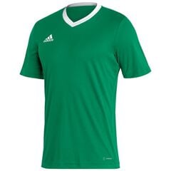 ADIDAS koszulka treningowa męska t-shirt do ćwiczeń Entrada HI2123 zielony, Kolor: zielony, Waga: 0.2, Rozmiar: XL