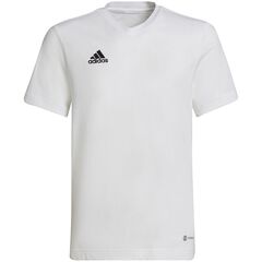 ADIDAS koszulka treningowa chłopięca t-shirt do ćwiczeń Entrada HC0447 biała, Kolor: biały, Waga: 0.2, Rozmiar: 140