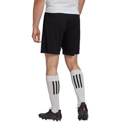 ADIDAS spodenki treningowe męskie krótkie Entrada H57504 czarne, Kolor: czarny, Waga: 0.2, Rozmiar: XL, 4 zdjęcie