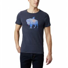 Columbia Koszulka męska M Piney Falls Graphic Tee Collegiate Navy, Kolor: niebieski, Waga: 1, Rozmiar: L