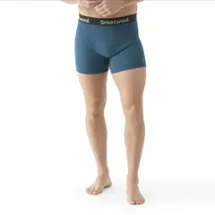 Smartwool bokserki męskie M'S Active Boxer Brief niebieskie, Waga: 1, Rozmiar: S