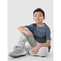 4F koszulka bawełniana t-shirt dla chłopca 4FJWSS25TTSHM2325 zielona, Kolor: zielony, Rozmiar: 146, 4 zdjęcie