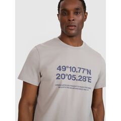 4F t-shirt bawełniany koszulka męska 4FWSS25TTSHM2209 szary, Kolor: szary, Rozmiar: XL, 2 zdjęcie