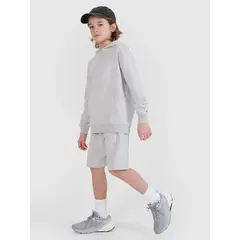 4F krókie spodenki bawełniane dla chłopca 4FJWMM00TSHOM629 szare, Kolor: szary, Rozmiar: 146, 2 zdjęcie