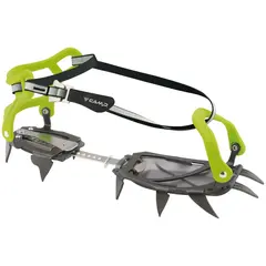 Raki koszykowe Camp Stalker green