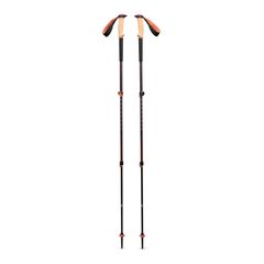 Kije trekkingowe Black Diamond Trail Cork Trekking Poles - fig