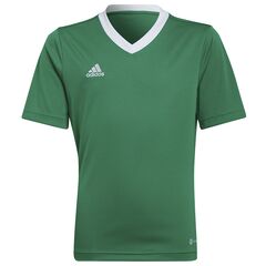 adidas Koszulka dziecięca ENTRADA 22 JSY Y HI2126 zielone, Kolor: zielony, Rozmiar: 176 cm