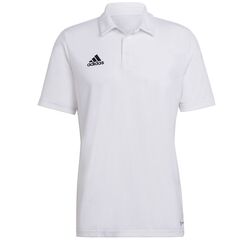 adidas Koszulka Polo ENTRADA 22 HC5067 biała, Kolor: biały, Rozmiar: XL
